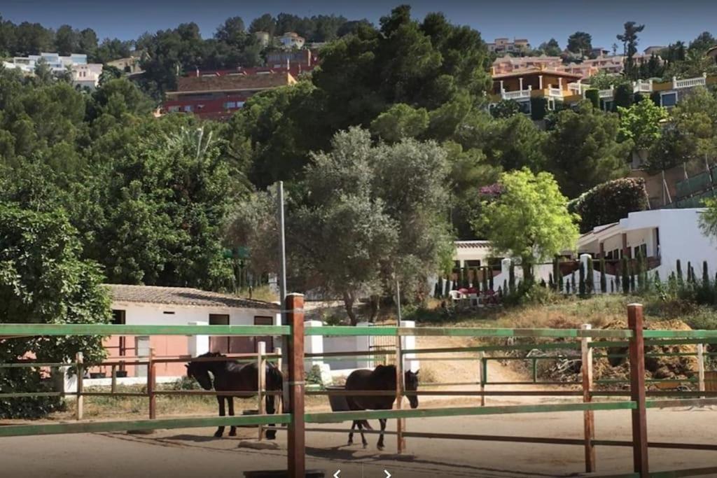 Denia - Golf La Sella "Refugio Marino" Lägenhet Pedreguer Exteriör bild
