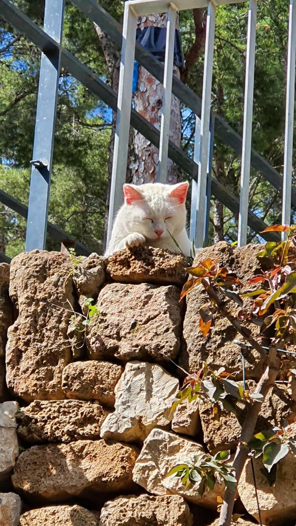 Denia - Golf La Sella "Refugio Marino" Lägenhet Pedreguer Exteriör bild